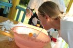 IMG_3192